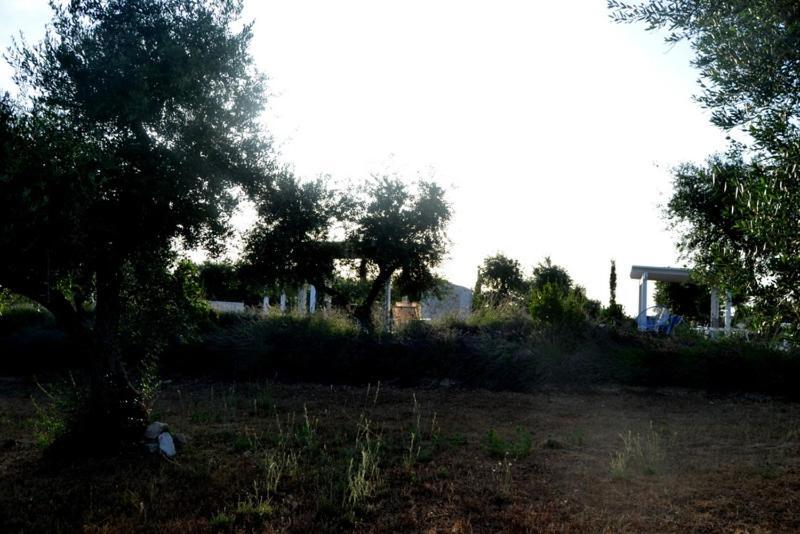 Apartamento L'Uliveto Cisternino Exterior foto